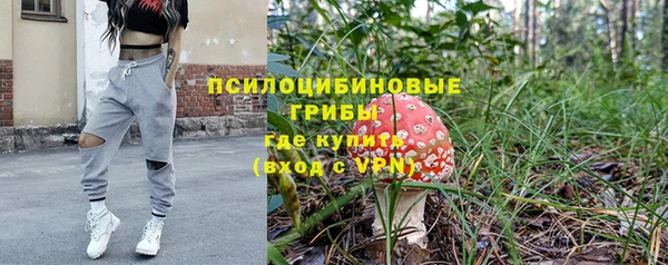гидропоника Алзамай