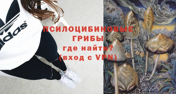 гидропоника Алзамай