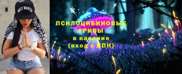 дурь Алексеевка