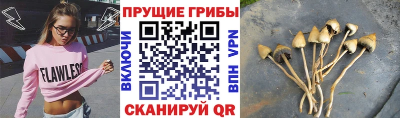 Галлюциногенные грибы Cubensis  Арзамас 